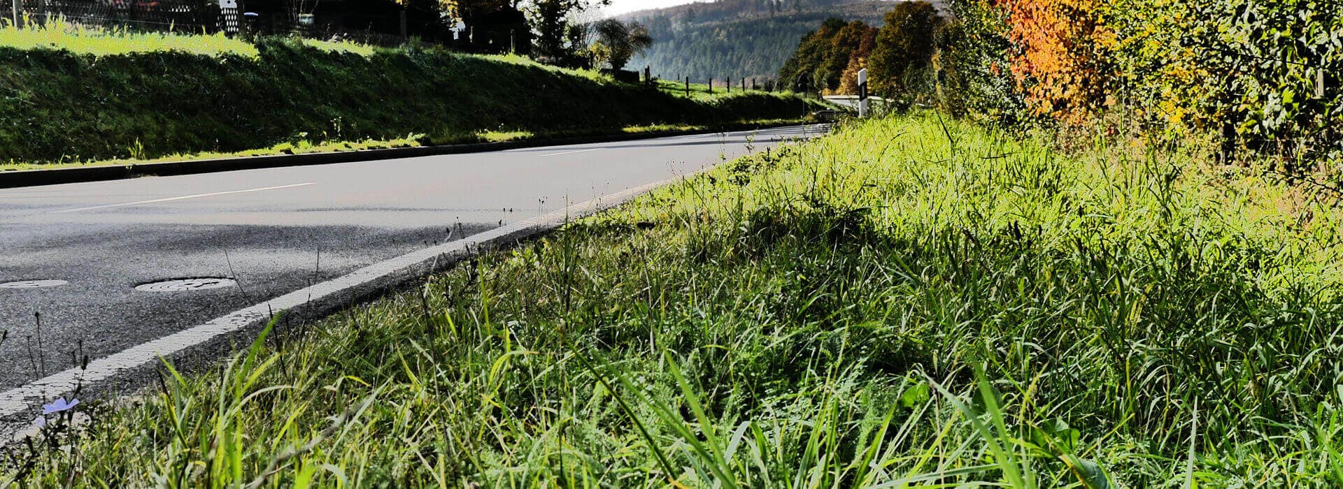 Grünfächenkataster