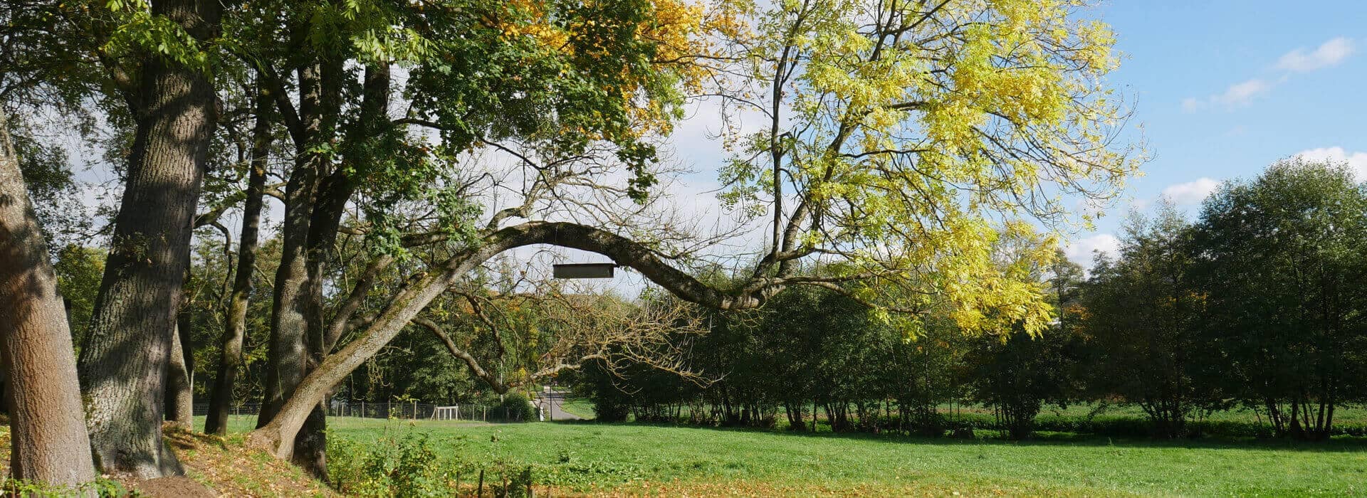 praxisorientierte Bauhofsoftware