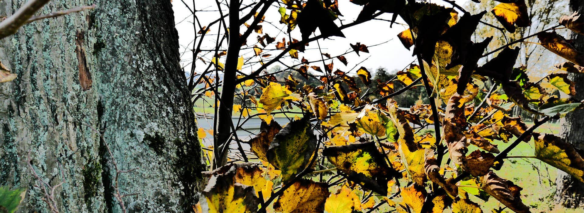 Software für Straßenmeistereien